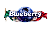 Blueberry Mexican Grill & Bakery